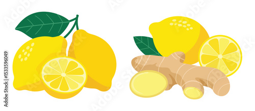 Lemons Ginger Root Slices Leaves Healthy Food Illustration