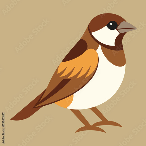 vector  a bird