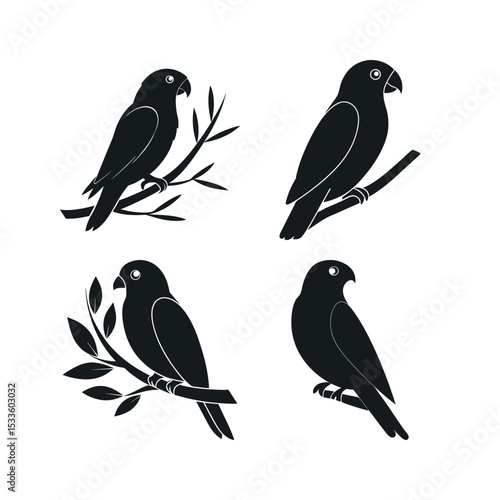 Four black silhouette lovebird parrots on branches