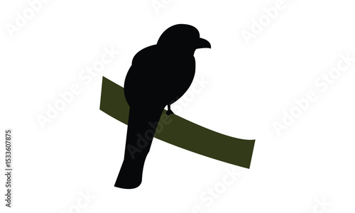Amazonian trogon bird Silhouette Design  And Vector Illustration. 
