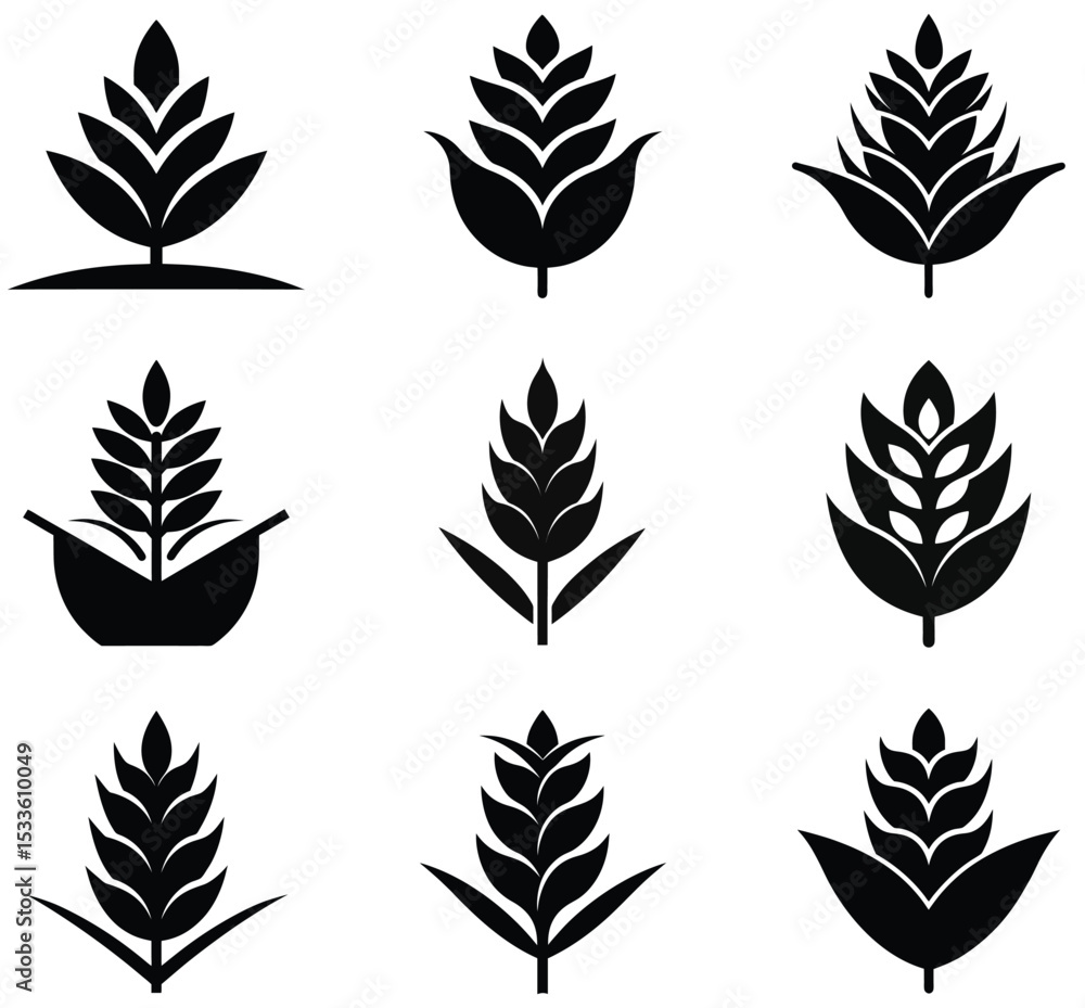 Collection of stylized wheat or grain icons Collection of stylized wheat or grain icons