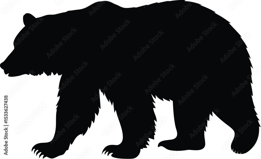 Fototapeta premium Bear silhouette, walking pose, wildlife vector