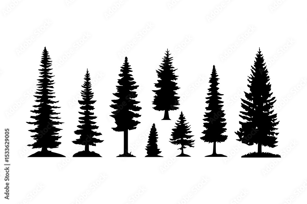 Obraz premium Silhouettes of various coniferous trees in different sizes create natural scene