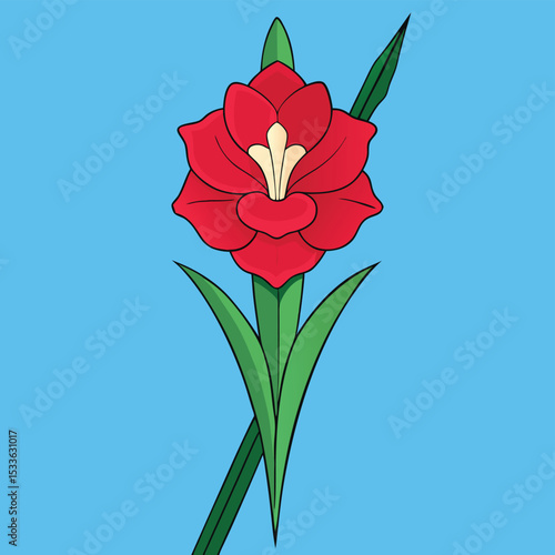Elegant single gladiolus flower, perfectly formed, showcasing its tall, majestic spike.