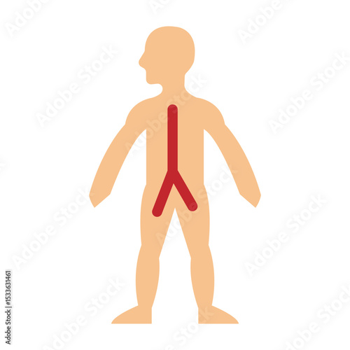 Circulatory System Vector Flat Icon Design