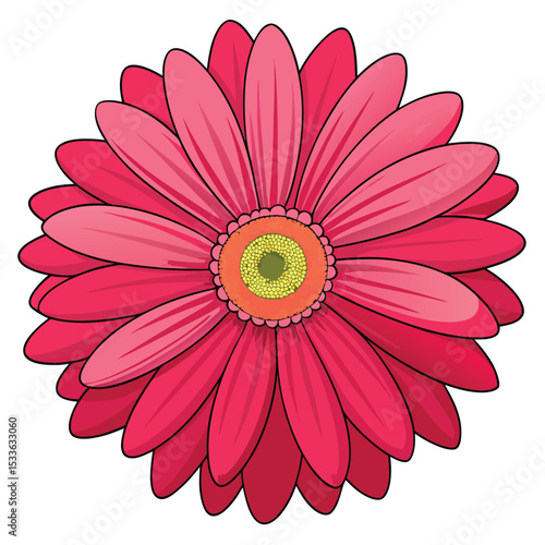 Cheerful vibrant gerbera daisy with perfectly arranged petals, a beautiful and striking bloom.