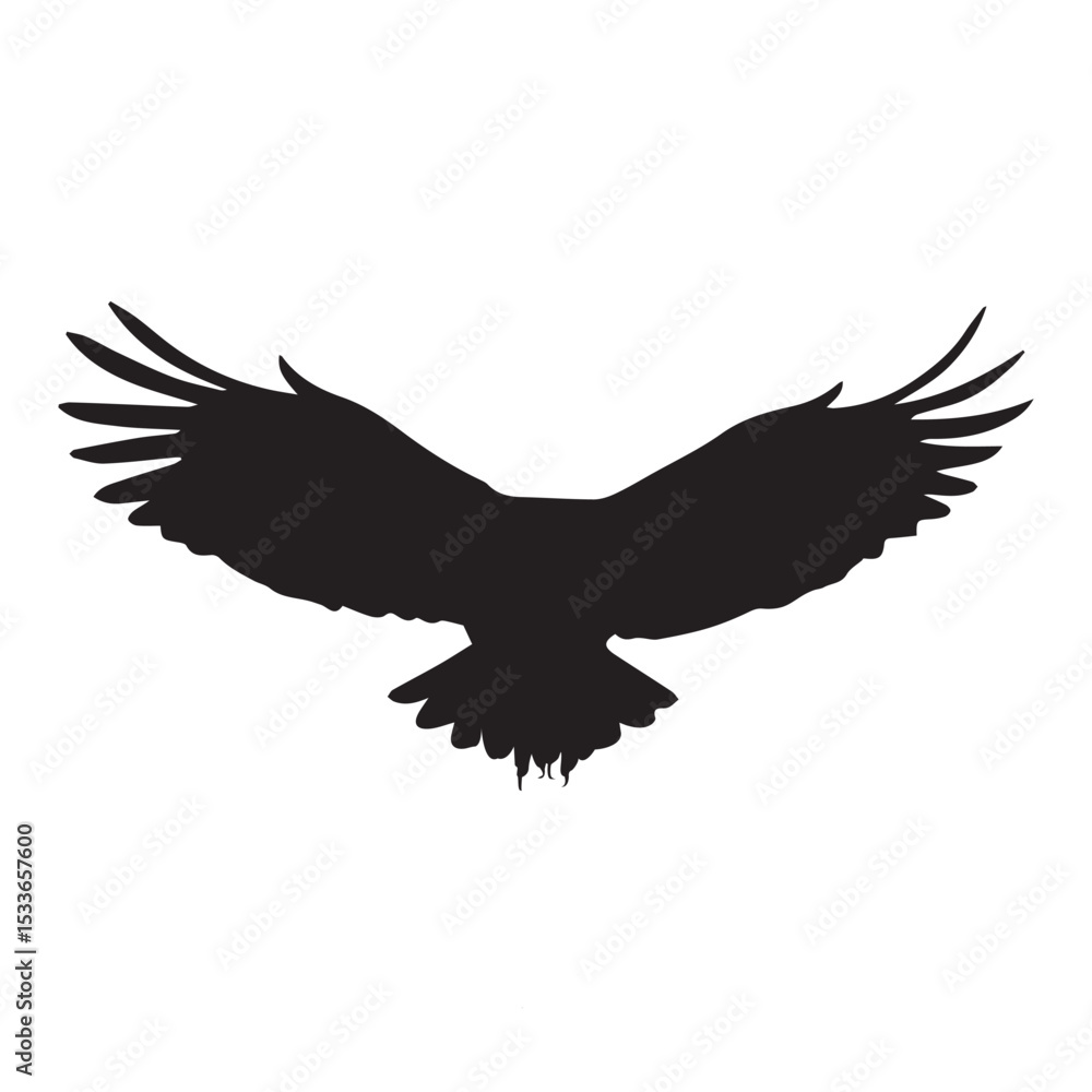 Obraz premium Silhouette of Flying Eagle with Wings Spread
