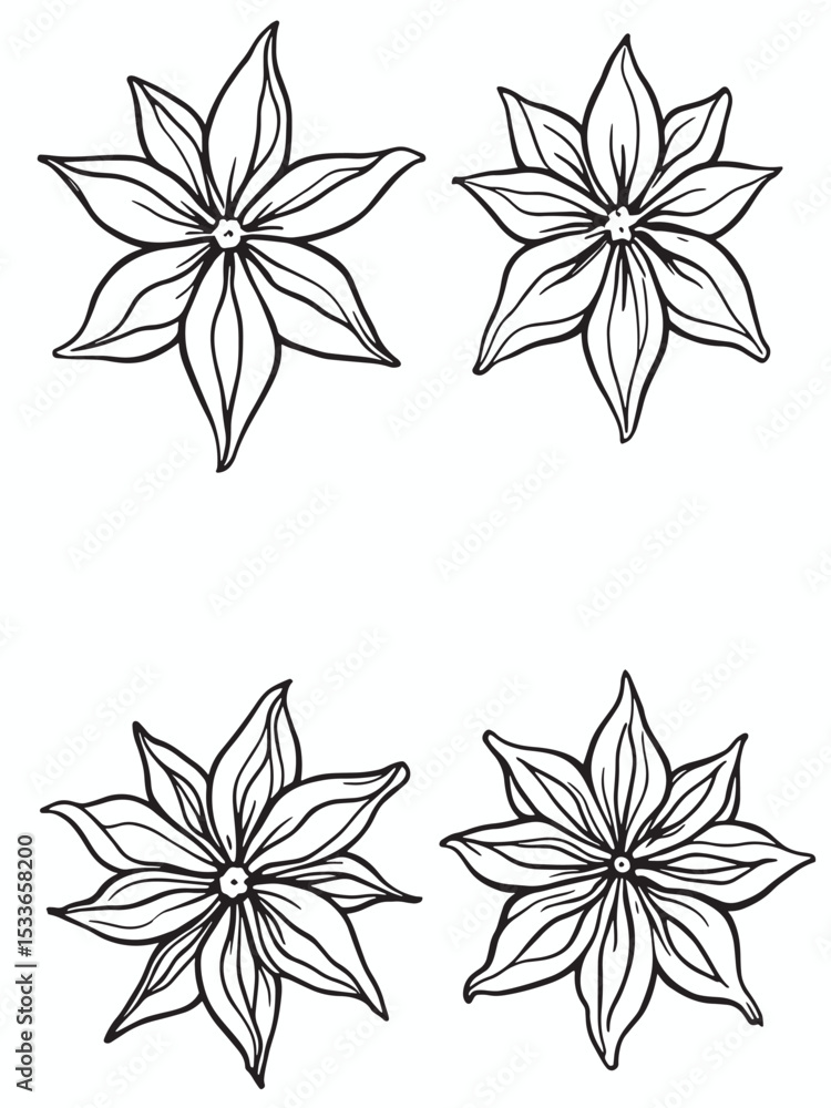 Obraz premium anise collection .eps