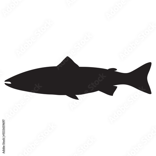 Salmon fish silhouette vector illustration