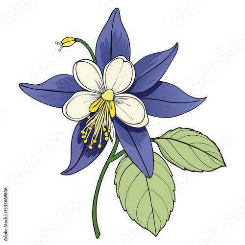 Detailed study of a columbine flower, highlighting its intricate spurs and delicate petals.