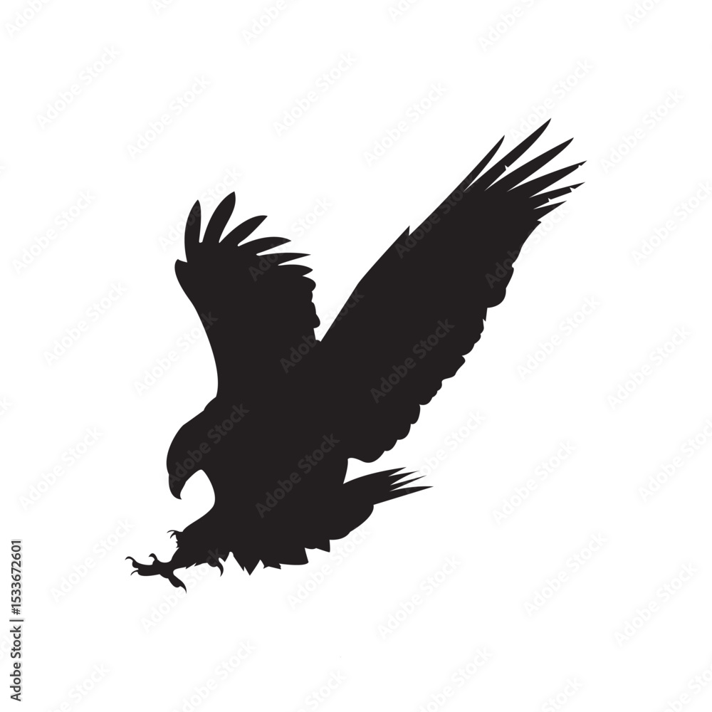 Obraz premium Silhouette of Eagle Hunting with Wings Spread