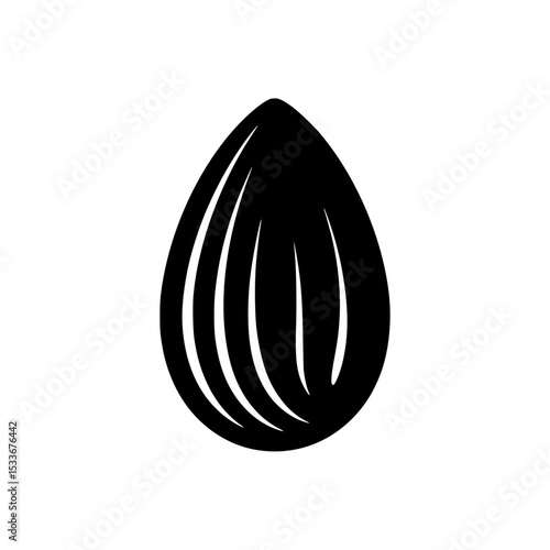 Black illustration of an almond nut with detailed lines and shading