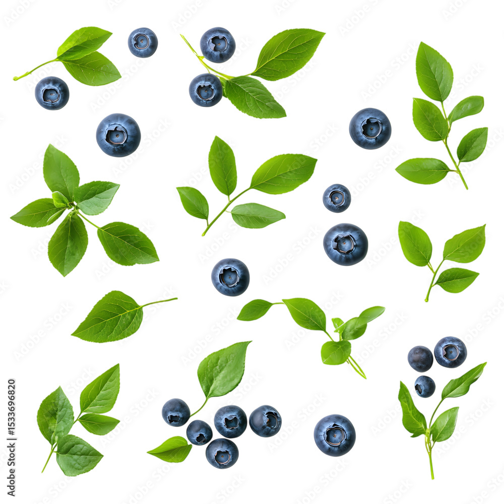 Fresh blueberries and green leaves arranged on a white background featuring botanical elements for health and nutrition concepts