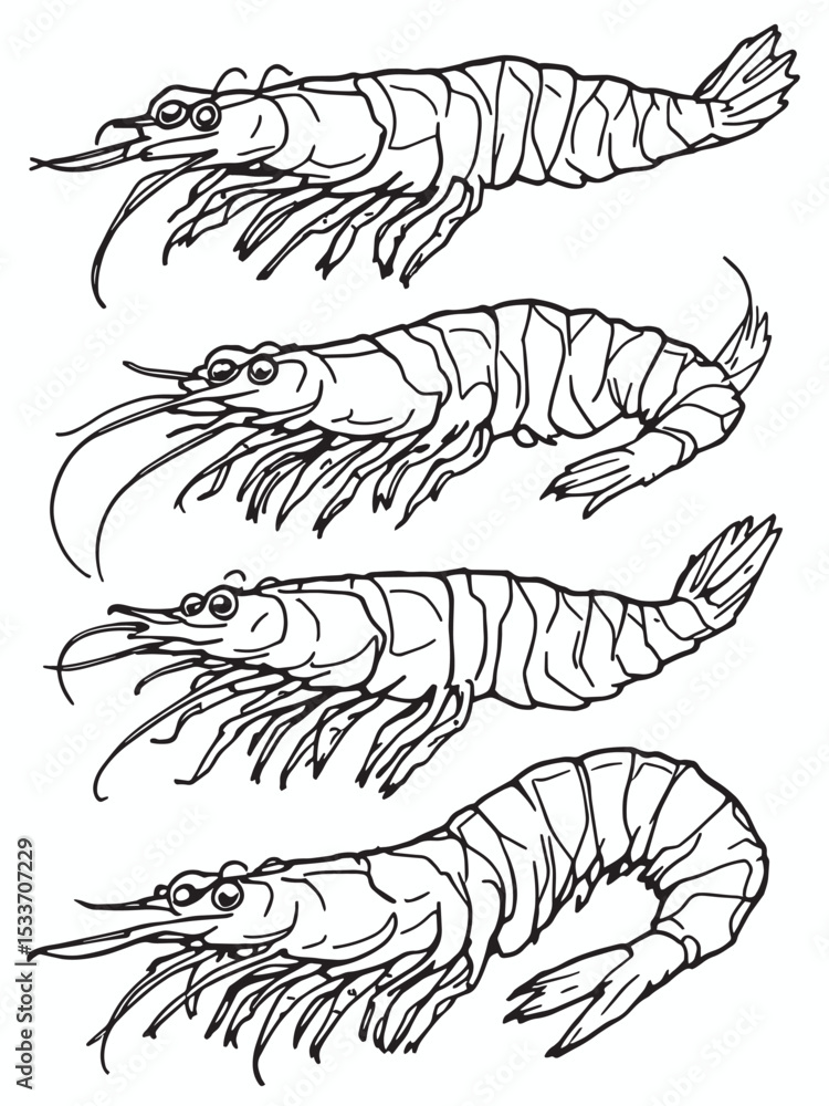 grilled shrimp .eps