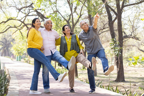 Group of indian senior male and woman friends At park