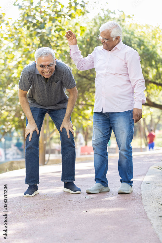 Obraz premium Laughing old male friends spending leisure time at park