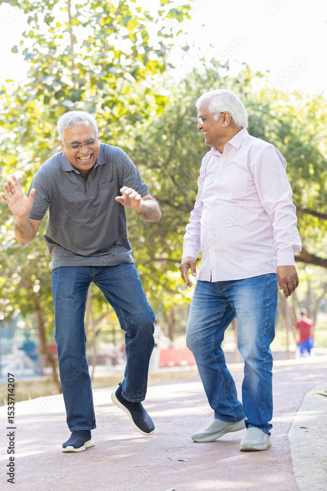 Obraz premium Laughing old male friends spending leisure time at park