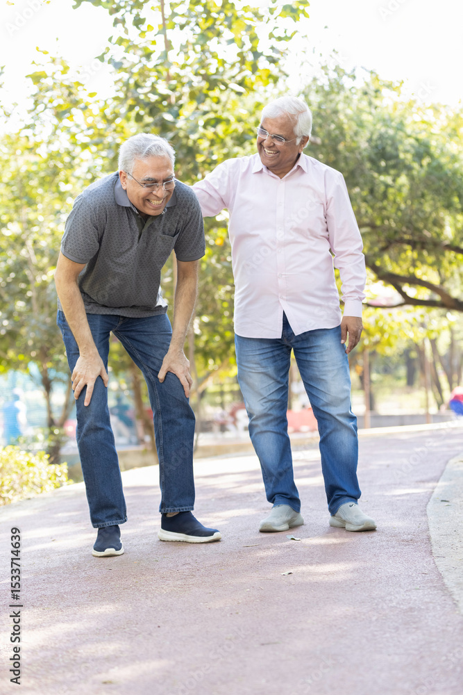 Obraz premium Laughing old male friends spending leisure time at park