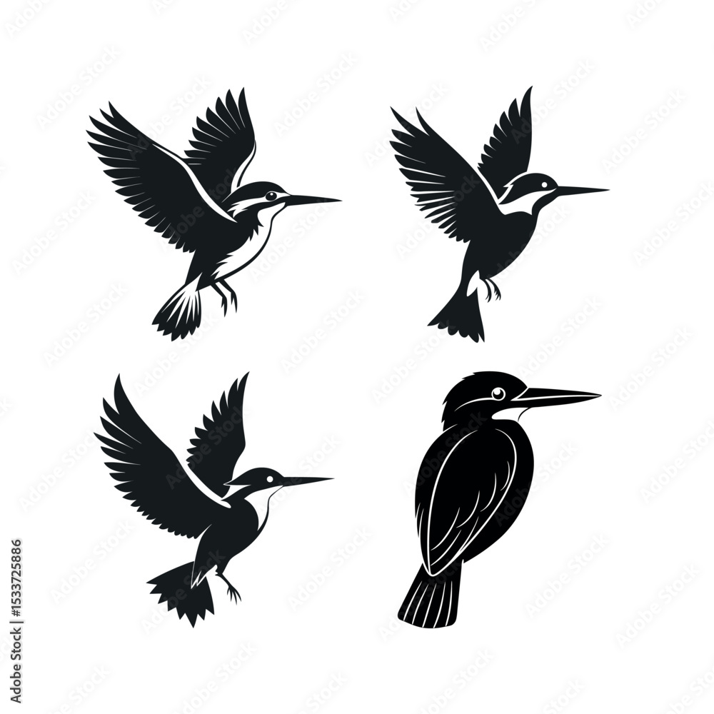 Fototapeta premium Four black silhouettes of kingfishers in flight and perched