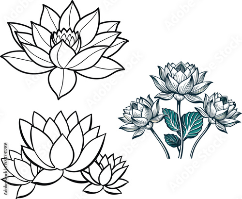 Lotus Flowers in Line Art Style and vector illustration of a flower.