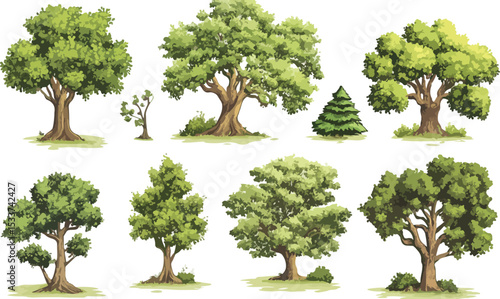 Collection of vector cartoon trees with different shapes and sizes including deciduous and coniferous varieties isolated on a white background suitable for illustrations and design