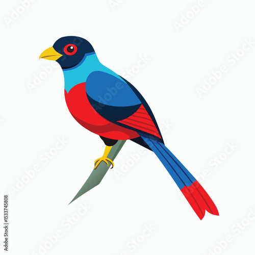 red and blue bird & Trogon stock