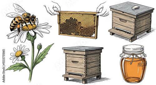 Hand Drawn Beekeeper's Journal Sketches - Honey & Bee Vector Set