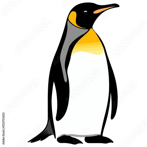 penguin, animal, vector, transparent background, creature, nature, wildlife, cute, isolated, antarctica, cold, polar