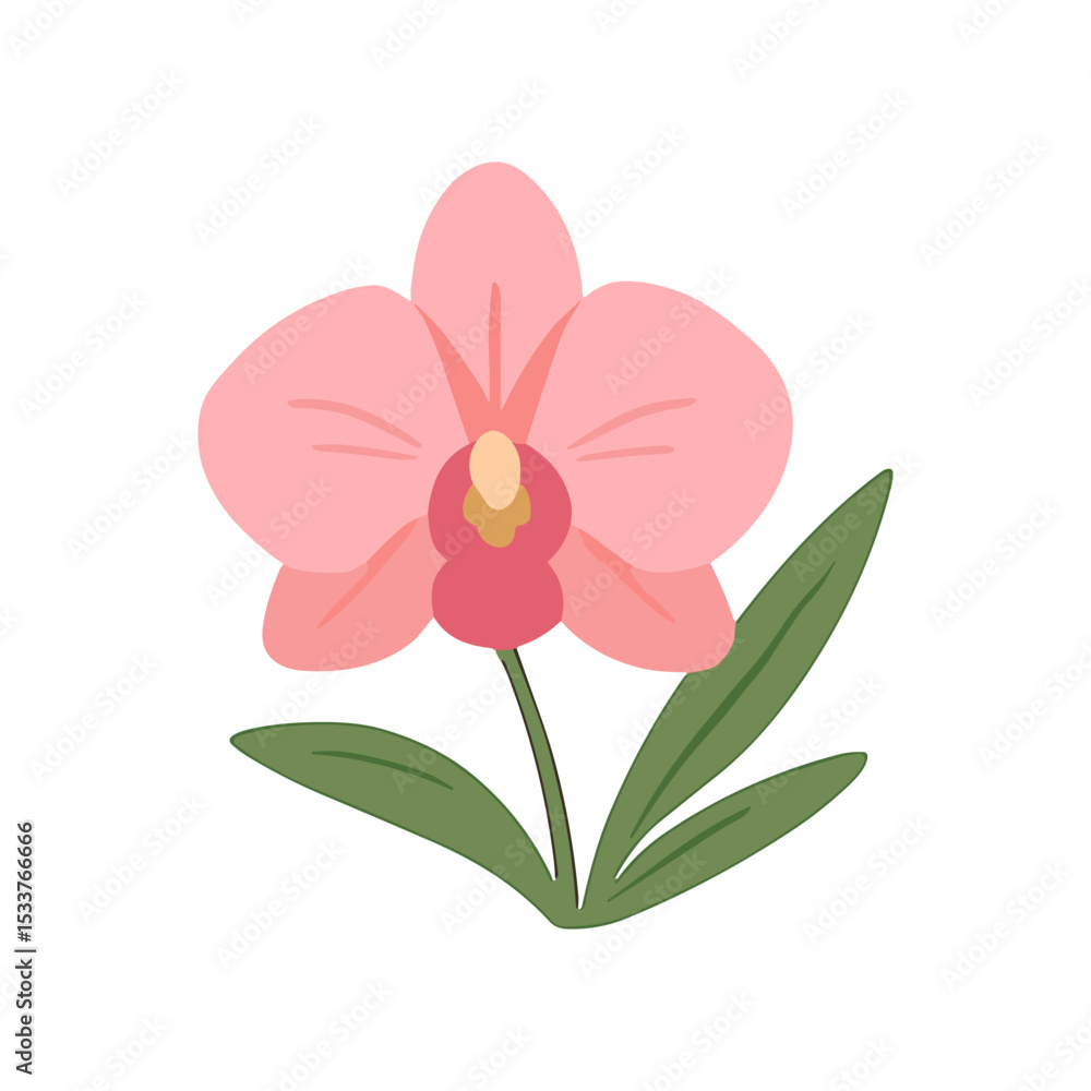 Fototapeta premium Beautifl Flower