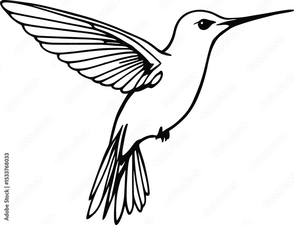 Fototapeta premium Elegant Hummingbird Line Art – Minimalist Black & White Drawing, Nature-Inspired Design | Perfect for Branding, Prints, & Tattoos