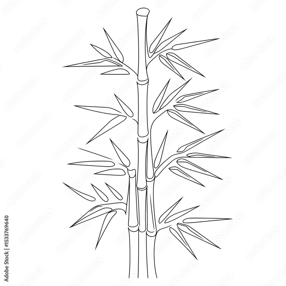 Naklejka premium bamboo isolated on white background