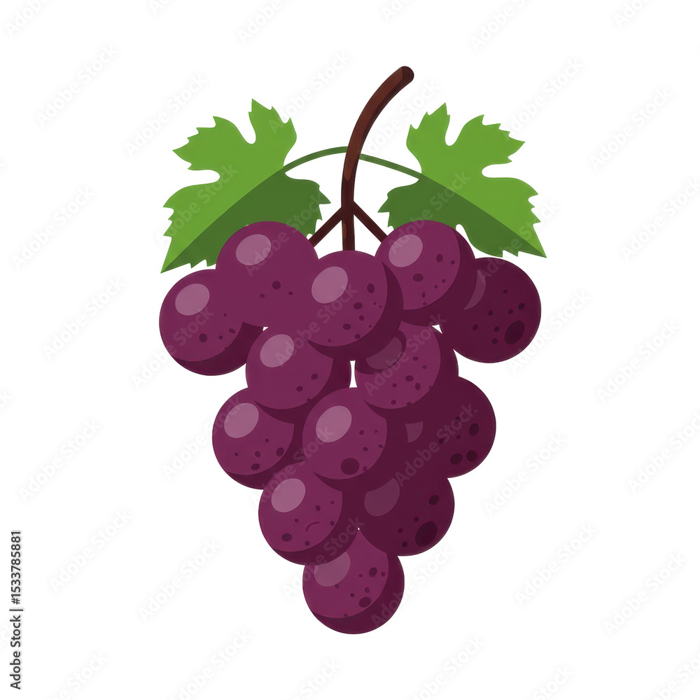 Fototapeta premium Cluster of ripe purple grapes hanging from a green vine against a white background