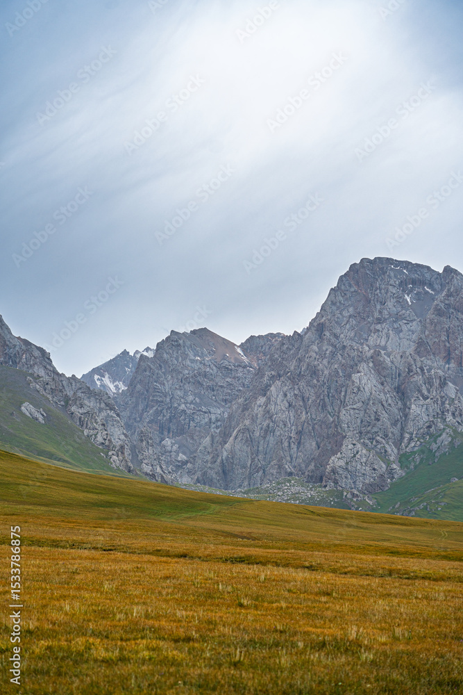 Fototapeta premium A vertical shot of vast, rolling high-altitude grasslands in varying shades of green and gold, leading up to formidable mountain peaks
