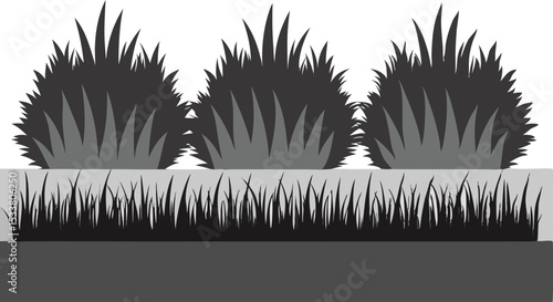 Three bushy grasses and long grass growing in a garden in a silhouette vector