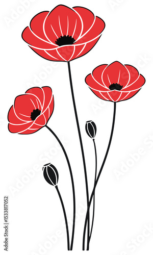 Three red poppy flowers are elegantly arranged with black stems and buds isolated