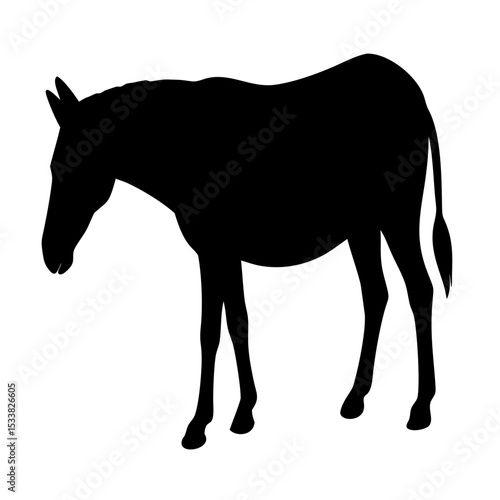 Black Donkey Silhouette Vector