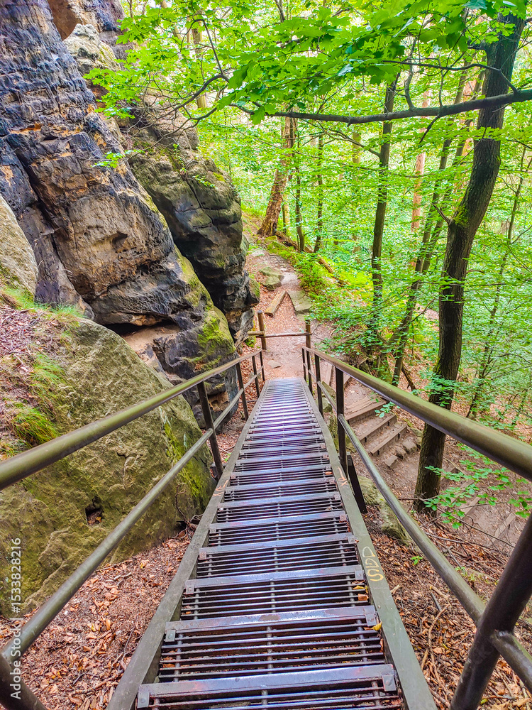 Sandstone rock caves with fern, moss, lichen, with metal stairs at the hiking trail Malerweg, Brandstufen in the national park Saxon Switzerland, Saxony, Germany Sandstone rock caves with fern, moss, lichen, with metal stairs at the hiking trail Malerweg, Brandstufen in the national park Saxon Switzerland, Saxony, Germany