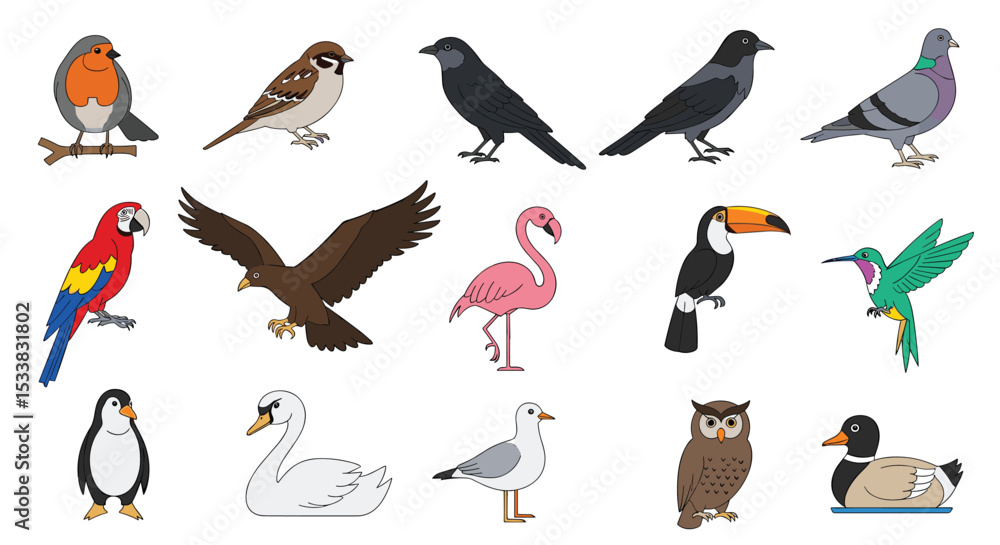 Fototapeta premium Adobe Illustrator Artwork