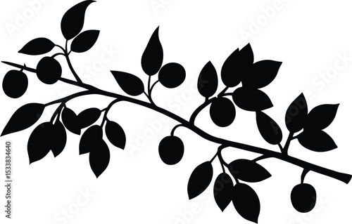 Silhouette Of A Tree Branch With Fruits - High Quality Vector Graphic