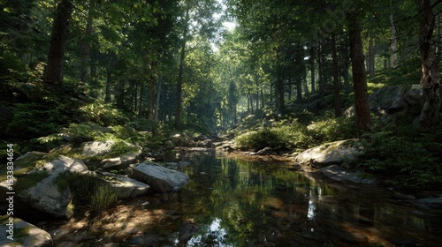 maple forest with stream, morning light filtering through canopy, photorealistic