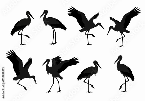 Stork silhouette collection bird wading avian animal