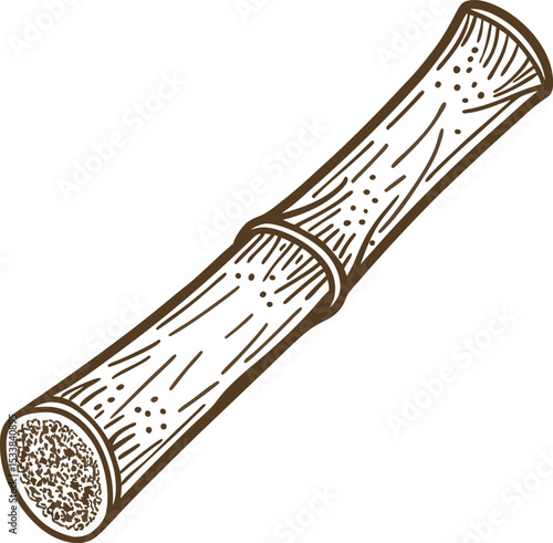 Sugarcane stalk cross section isolated brown line art illustration of raw sugar cane piece for agriculture, food, tropical farming concepts
