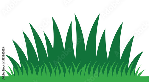 Green vector grass isolated on white background.