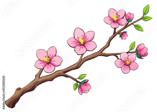 Pink Watercolor magenta cherry blossoms bloom on the branches. Cherry blossom and leaves branch bouquet vector isolated on white background.
