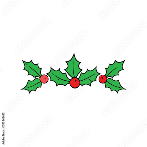 holly berries on white background