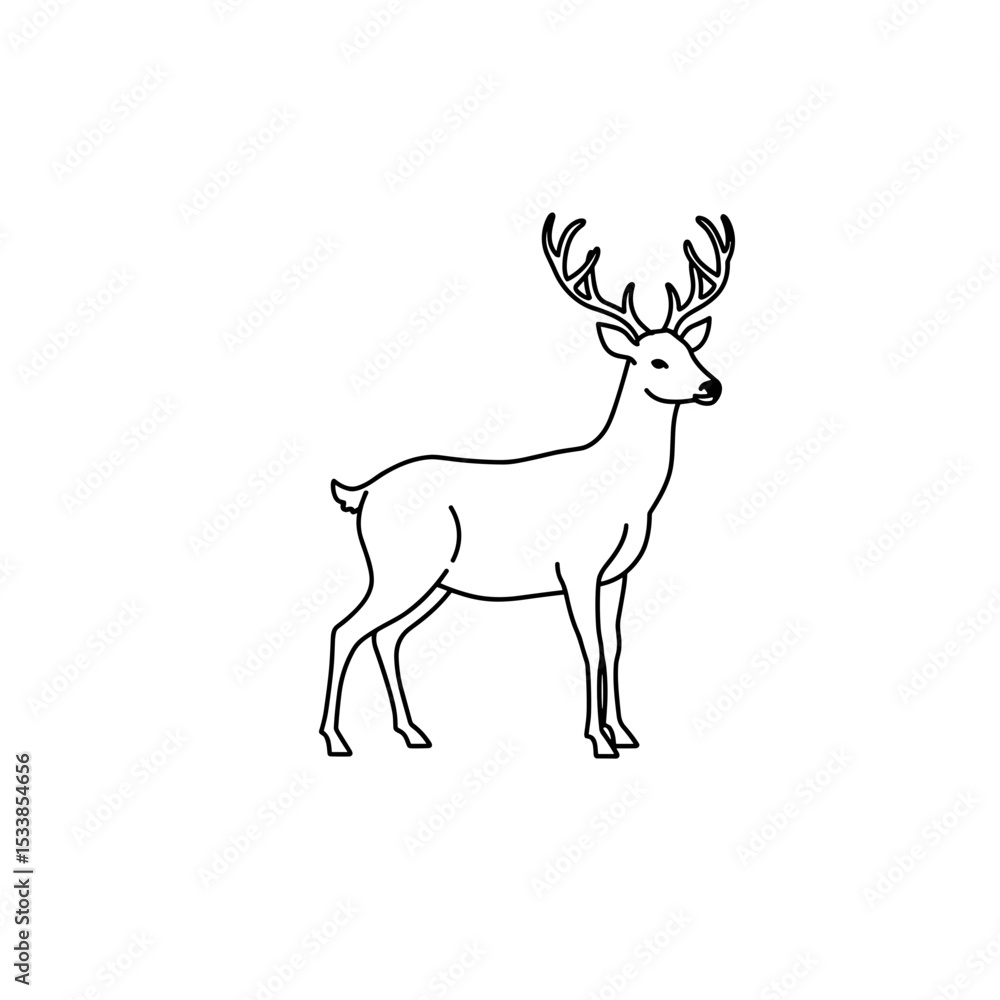 Obraz premium Stag with antlers standing in profile on a white background 