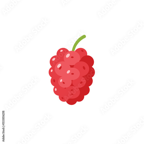 Vibrant red raspberry with green stem, isolated on white background for culinary use