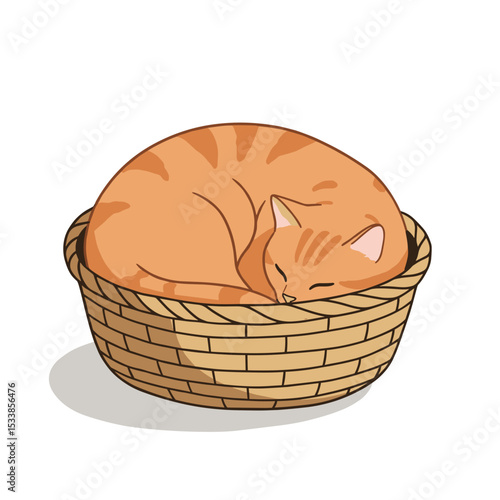 A cozy orange cat curled up peacefully in a woven basket, creating a serene atmosphere