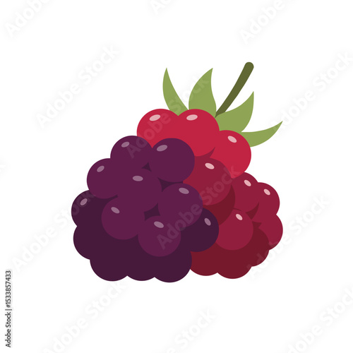 A vibrant cluster of red and purple berries with green leaves on a white background