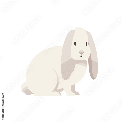 A cute, fluffy rabbit sitting calmly against a plain background, evoking tranquility